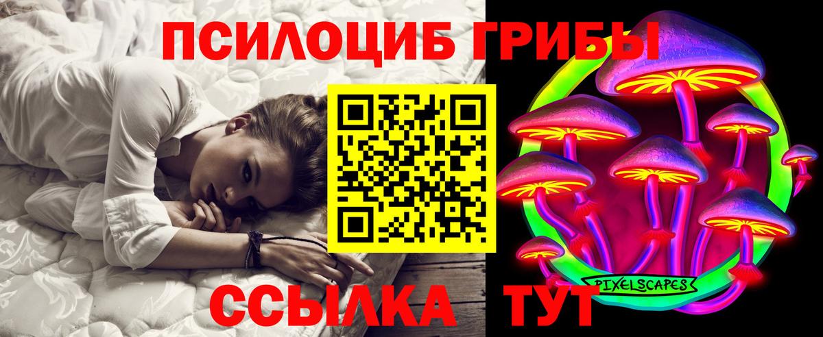 Галлюциногенные грибы мицелий  Вход с VPN  Псилоцибиновые грибы Psilocybine cubensis  сколько стоит  Грозный 